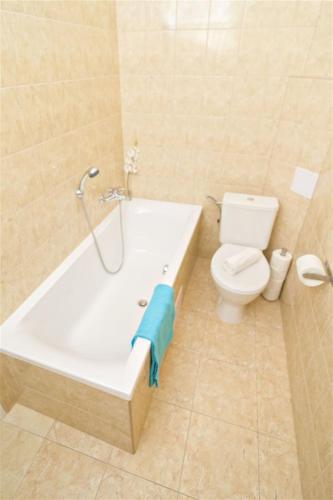 Apartments 5 minutes walk from Old Town - 102 m2 w balcony, view, shower plus bath, Praha (fotografie 7)