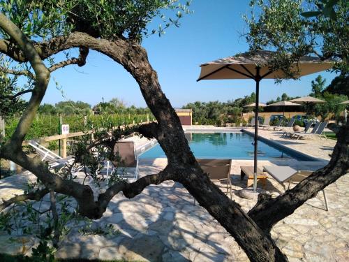 Agriturismo Sweet Cottage - image 4