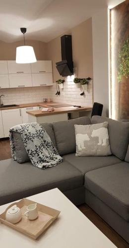 Apartament Malinowa Dolina
