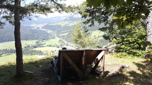 Ferienwohnung mit Sicht auf die Berge (Nahe Flims/Laax)