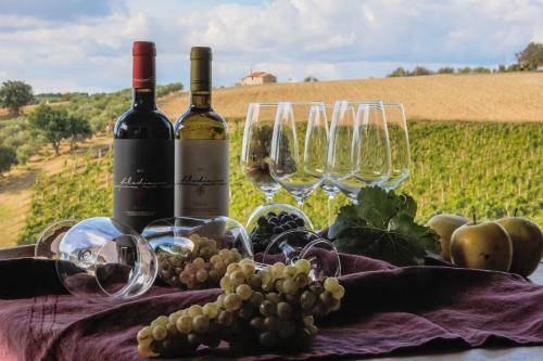Filodivino Wine Resort & SPA