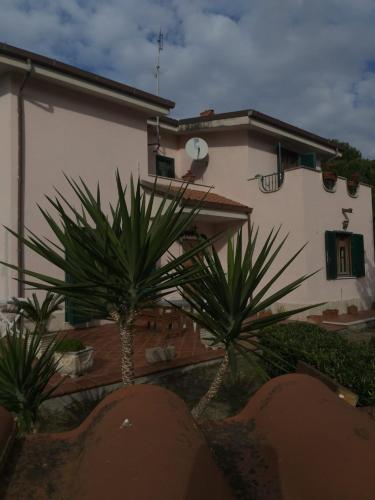 Villa Curti, Rome (photo 4)