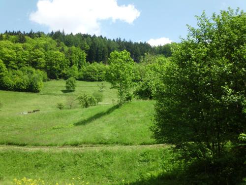 Finken, Gästezimmer an der Rench, Oppenau (foto 6)