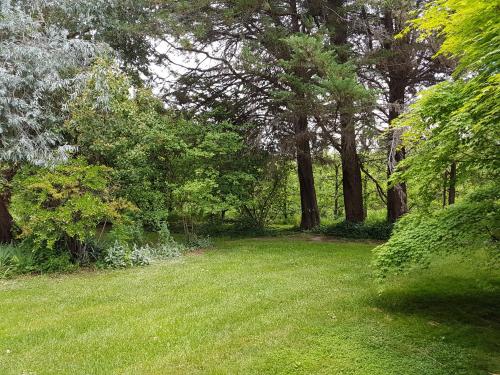 Casa de Campo Flor Dorada - Apartment - Centenario