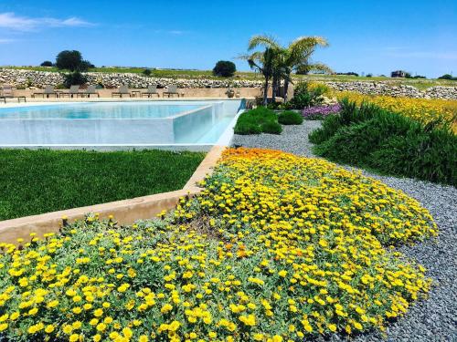 Mangiabove - image 7