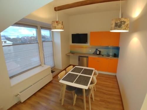 Kitchen, M/S Factory Apartments in Northern Tallinn