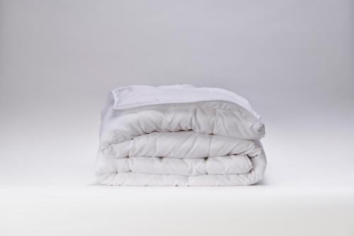 robin-hood-inn-and-suites robin-hood-inn-and-suites