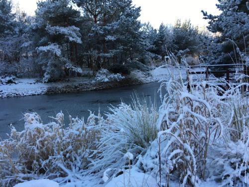 Provincija - image 7