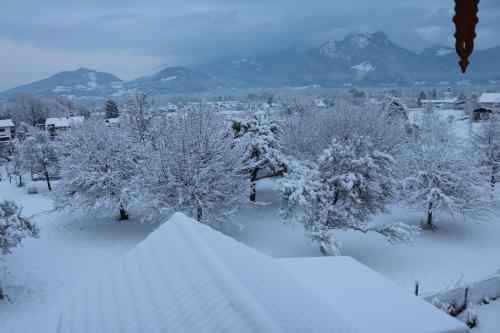 Pension Berghof