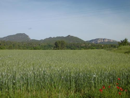 Le Castellas du Pic St Loup