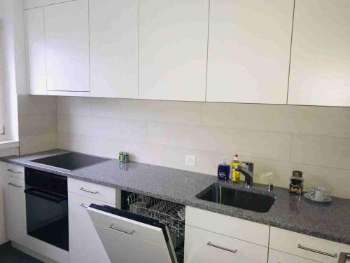 3 Room Premium Apartment Buchs SG - image 5