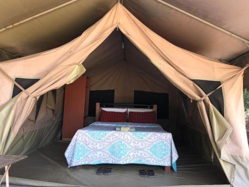 Oldarpoi Mara Camp in Nacionalni park Masai Mara