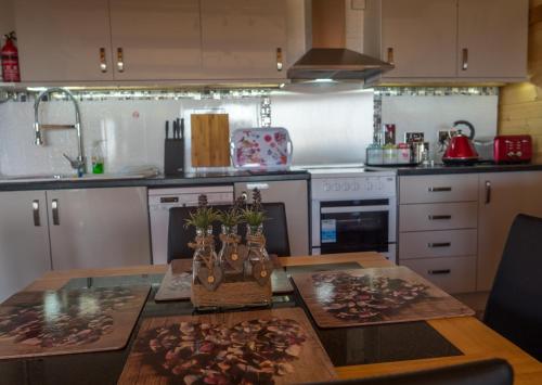 Enlli Fach cabin sleep's 2 adults and 2 children 2 dogs welcome not suitable for contract workers du in Harlech