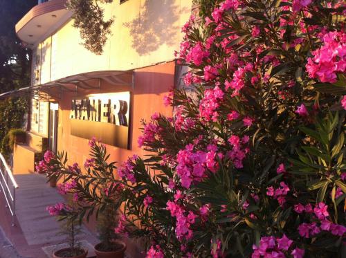 Atamer Doga Resort - image 10