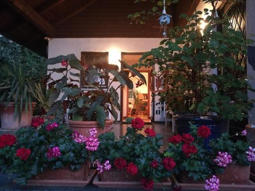 Apartment HAUS MERLIN am Böckelsberg - image 5