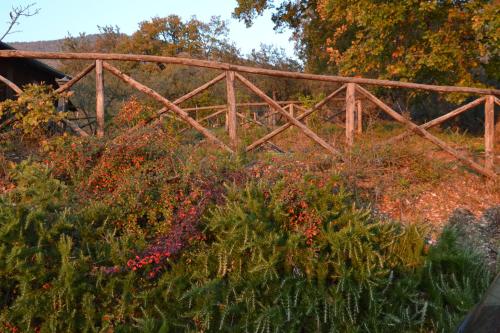 B&B Villa Delle Rose – Assisi, CT