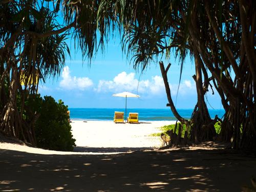 Photo - Palm Beach Inn & Sea Shells Cabanas