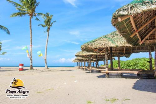 Playa Alegre Beach Resort - 주변 환경