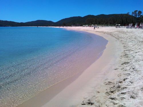 Alma Resort - image 11