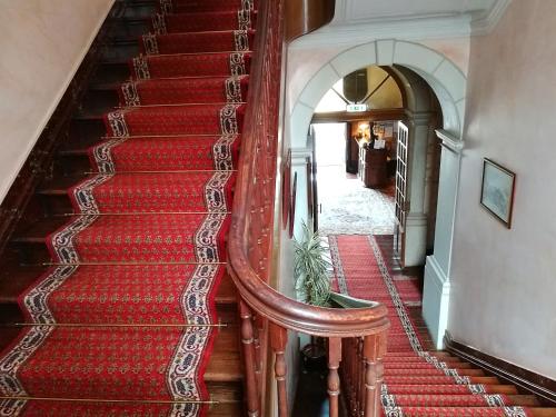 Alegre Hotel - image 9