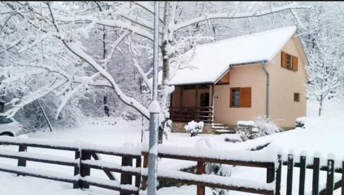 House Šumski san