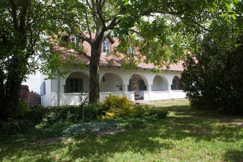 บริการและสิ่งอำนวยความสะดวก, Grand Balaton House in โควากัวร์