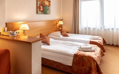Kinga Hotel Wellness - image 4