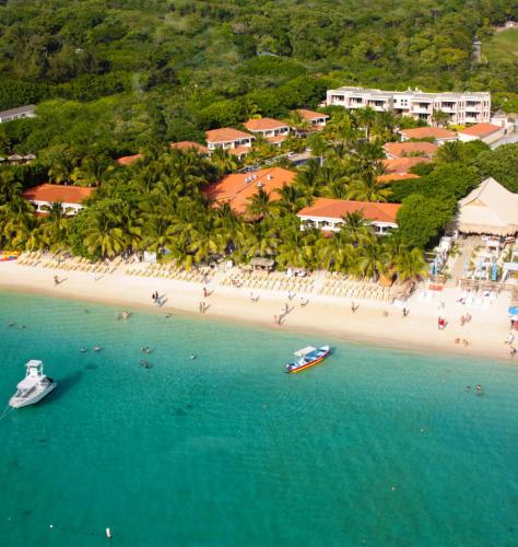 11 Best Dive Resorts In Roatan, Honduras - Updated 2021 | Trip101