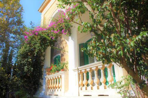 Alchimia SPA & Centro Benessere 4