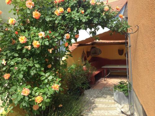 Dotări, CasaCreativa in Bad Windsheim