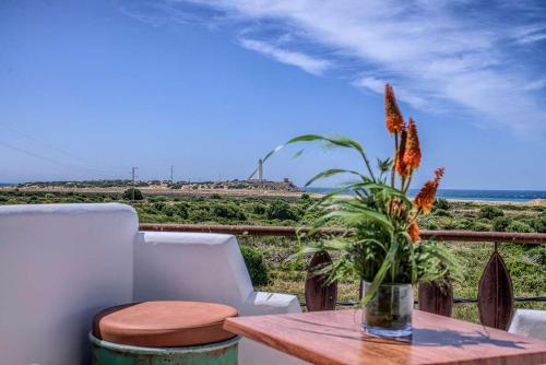 Apartamentos Turisticos Bahia De Trafalgar Apartamentos Turisticos Bahia De Trafalgar