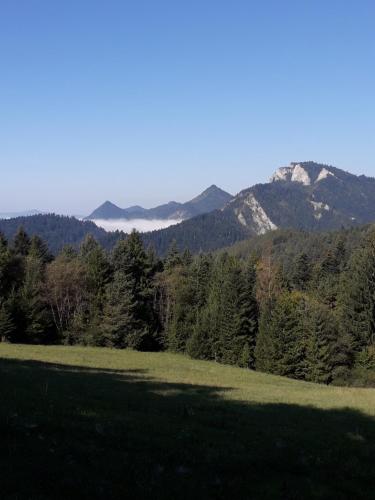 Chata Holica PIENINY in Старий Смоковець