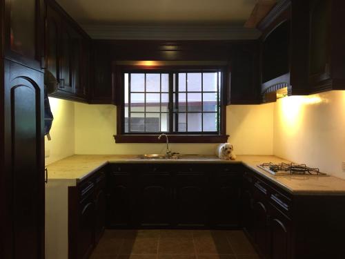 Spinning Cat Hostel in Bohol