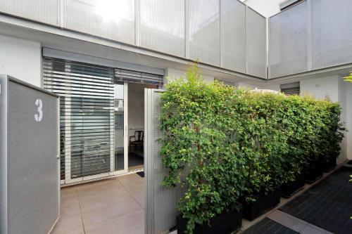 Piazza del Popolo Apartment - image 11