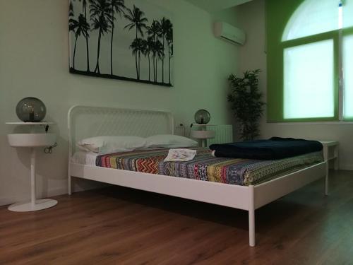 Central and Basic Universitat for YOUNG HOSTEL, Barcelone (photo 9)