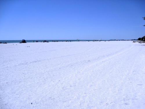 Anna Maria Island Beach Sands 203 detail