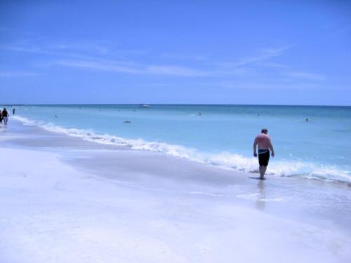 The Anna Maria Island Beach Sands 203 - image 12