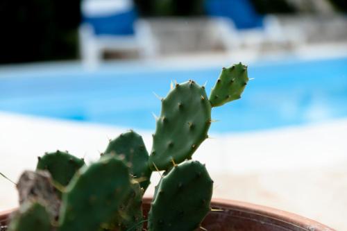 Trullo Dimora della Valle