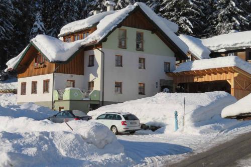 Apartments Egger Barbara - Gosau