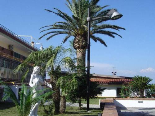 Ranch Palace Hotel - image 7