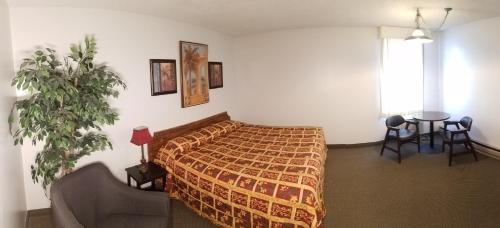 Amber Inn Motel - image 5