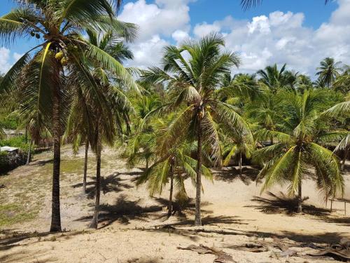 Rosagash Paradise - Praia de Santo Antonio