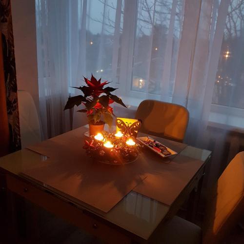 B-Est Lilleküla Apartment, Tallinn (photo 2)