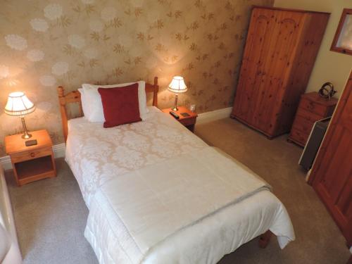 Bron Rhiw Guest House - image 7