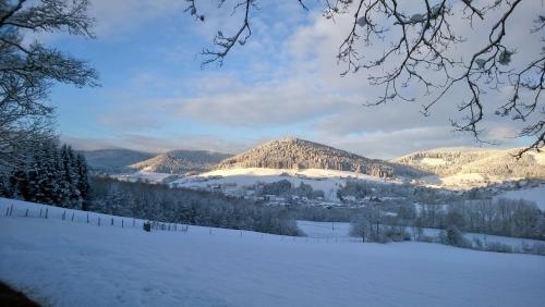 Schwarzwald-Ferienwohnungen Begert - image 11