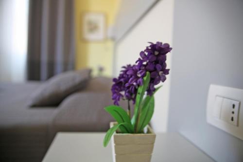 Seawall Holiday Home 1