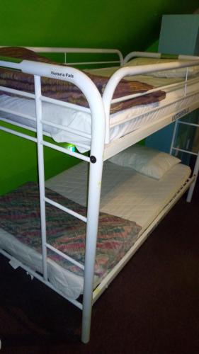 Single Bed in 10-Bed Dormitory Room image 8