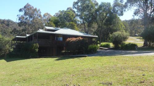 Blackwattle at Barrington Tops