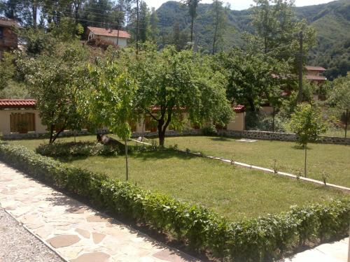 Villa Nanevi - image 9