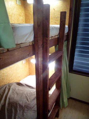 Bunk Bed in Female Dormitory Room   room in woodon